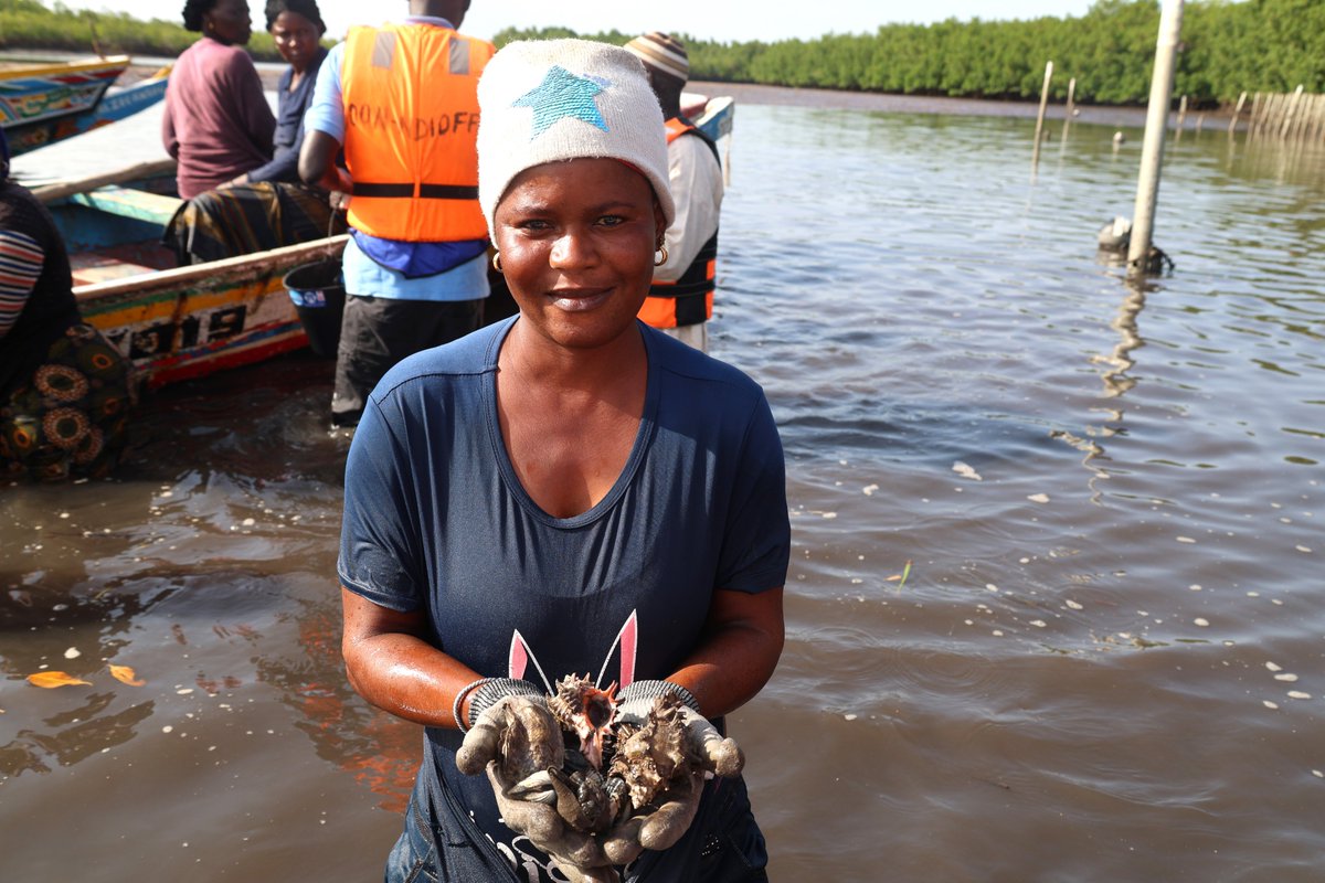 IloSenegal's tweet image. 🌿#EmploisVertsDelta | Jour 1
Mission de terrain de @ilo à #Toubacouta pour des échanges avec les autorités locales et les #CLS. 
Visite des sites d’exploitation de miel, d’huitres et mollusques ; rencontres avec bénéficiaires engagés pour une #économieverte inclusive.
@BMZ_Bund