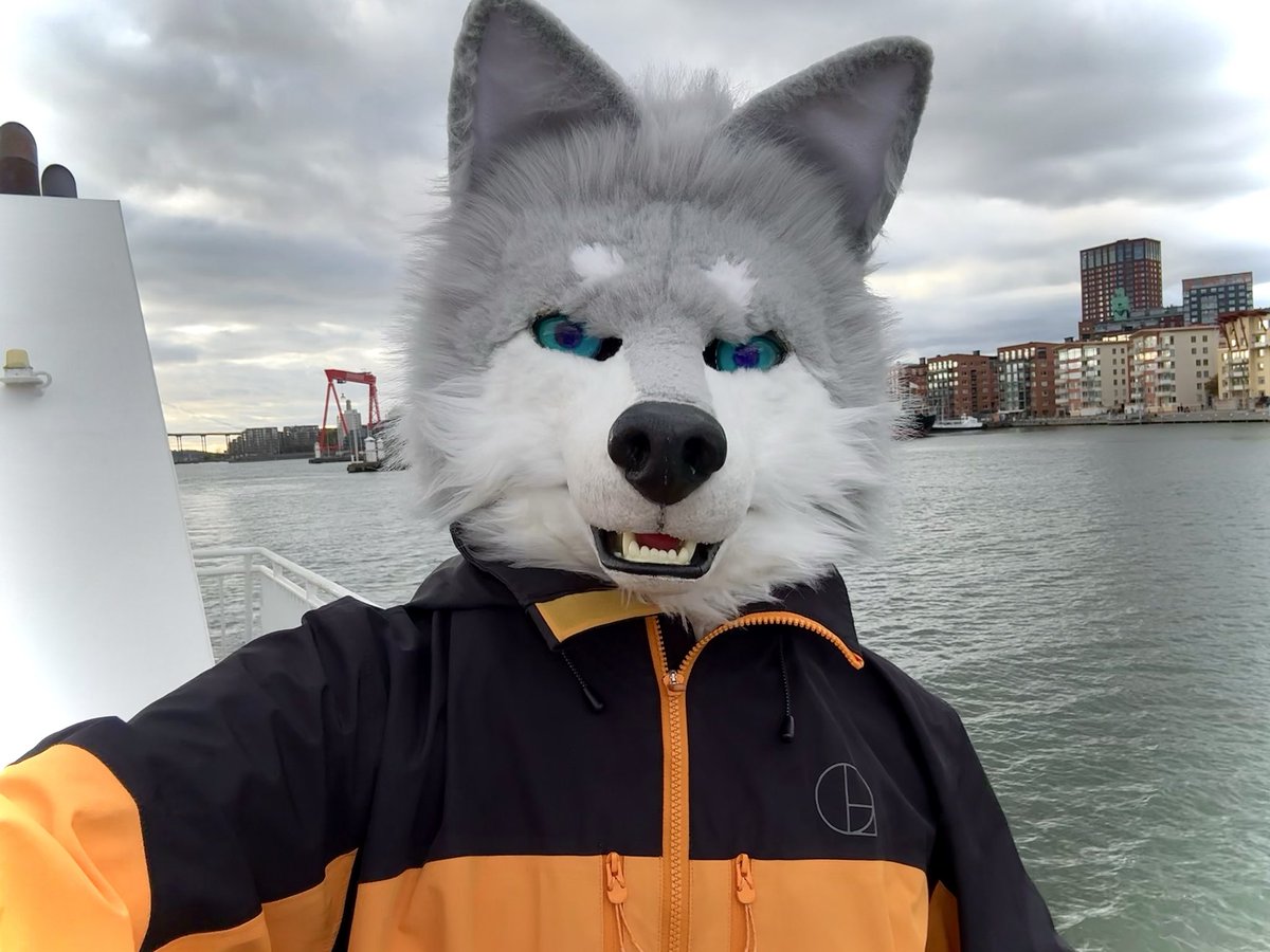 Husky the Lazy Wolf 🇨🇳🇸🇪👉NFC2026 tweet media