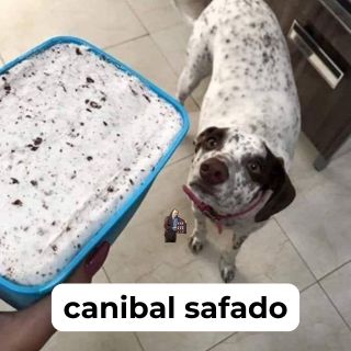 provas que os humanos deveriam ser extintos (@provasextinto) on Twitter photo 