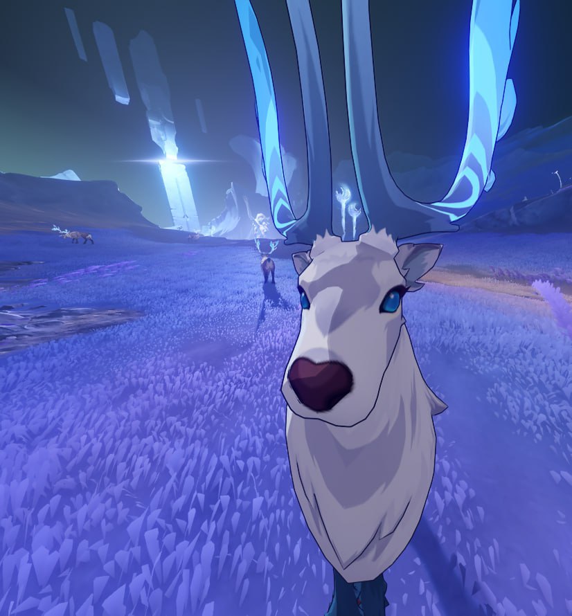 Daily Lauma tweet media