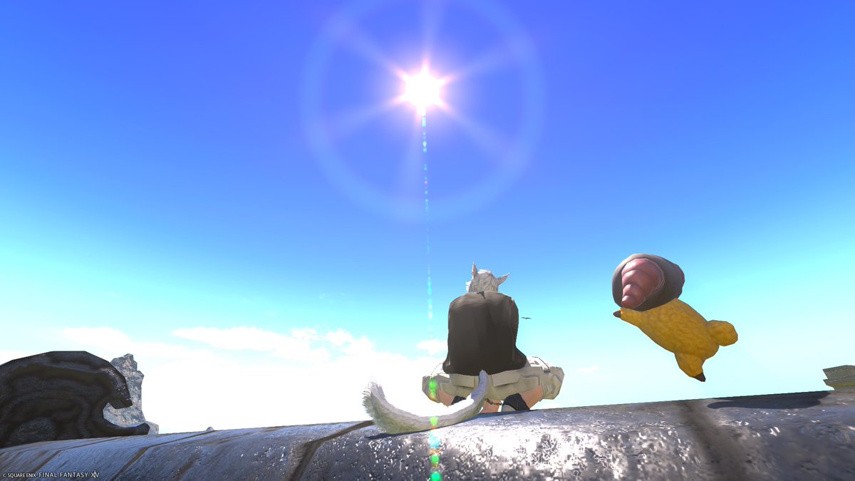 ハウスの屋根からおはようございます
リセ日ですね。
今日も一日無理のない範囲で
#FF14  #おはミコ