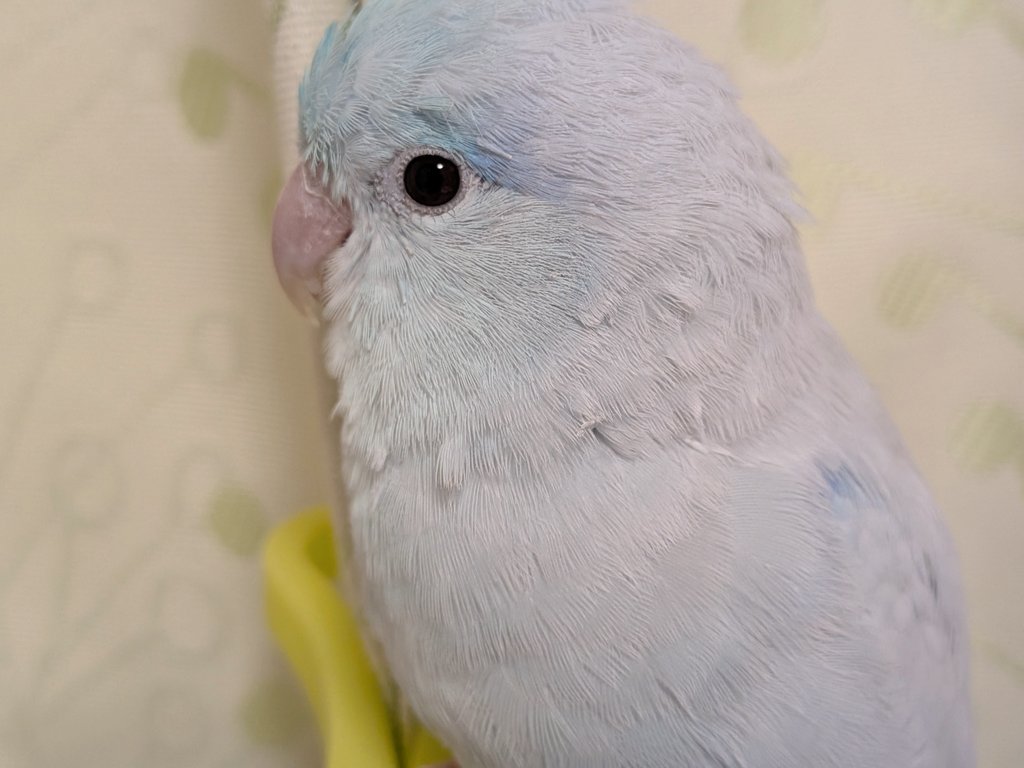 そらまめそらたろう on X