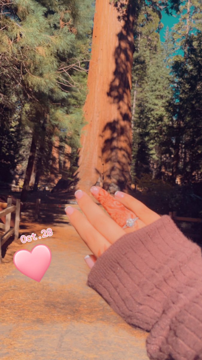IM ENGAGED!!! 💍 

He took me 5000 feet in the mountains to the biggest tree and proposed I cried so much💕🥺