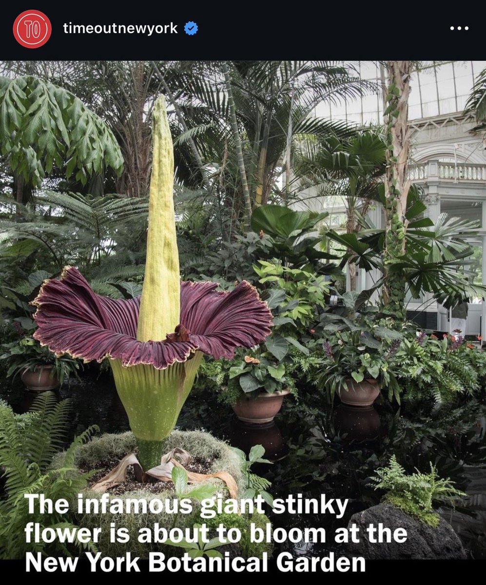 how the streets be talking about me