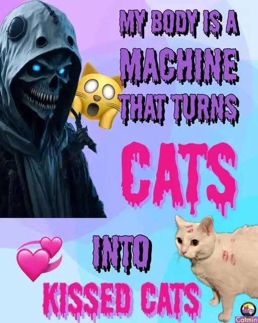 kmcnam1's tweet image. Truth