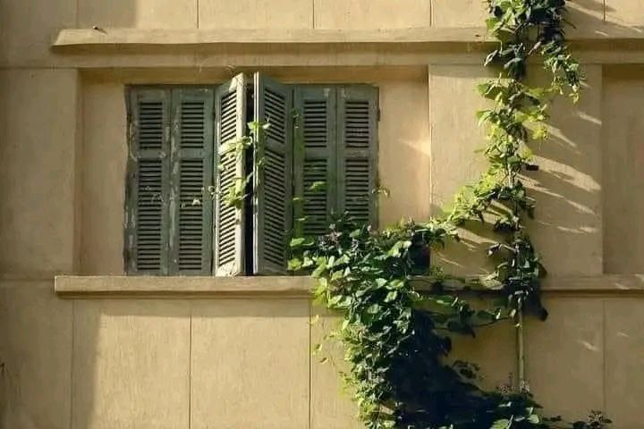 wwe_foad's tweet image. "أحاول"..
ذلك هو شعاري في كل الأشياء التي عشتها
أحاول كل يوم أن أصبح أكثر وضوحًا
كل يوم أدرب نفسي على الصبر، أمضي ويقيني أكبر من خوفي
لست الإبن الأكثر برًا، ولا العبد الأكثر إيمانًا ولكنِّي أحاول
 وأرجو أن تُصبح تلك المحاولات شفيعة لي، وأن أصِل في نهاية النفق إلى نفسي.