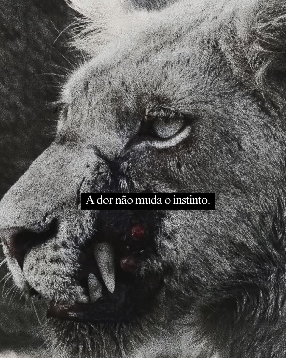 Per Onore 🥃 (@peronore) on Twitter photo 