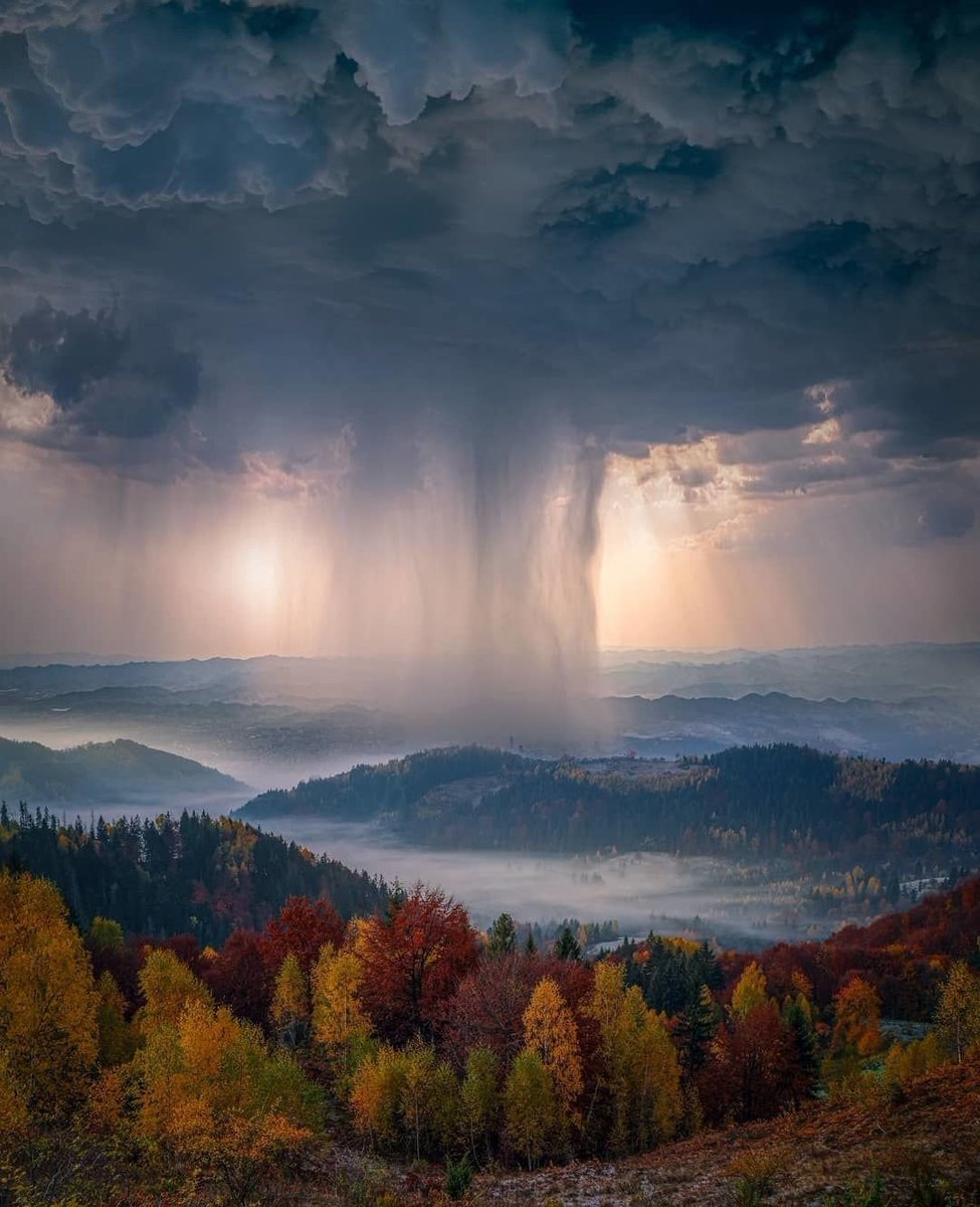 كَأَنَّ السَّمَاءَ جَفْنٌ يَسيلُ دَمْعُهُ
وَفِي الْأَرْضِ أَلْوانُ الْخَرِيفِ تَحْيَا
تِلْكَ الْغُيومُ السُّودُ تَصُبُّ سِرَّهَا
وَالنُّورُ مِنْ بَيْنِ الرَّذَاذِ تَجَلَّى
يَا مَطَرُ، يَا مَطَرُ، يا ضَوْءًا يُزاحِمُهُ
مِنْ حَيْثُ جَاءَ سَنَا الْحَياةِ وَأَهْلَا!
#السياب