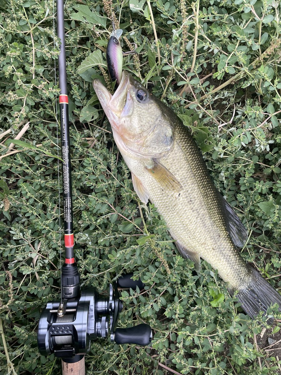 とりあえずランビットSR岸際で
ひったくりバイト🐟

風と曇天💭
何となくミノー的な方が良いような……