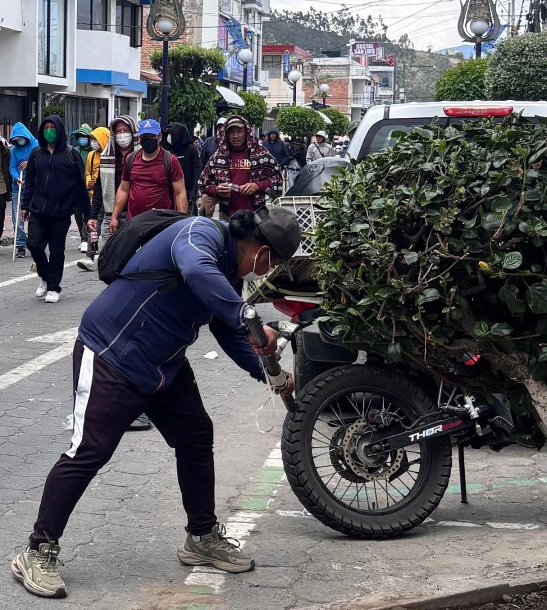 Ya saldrán y dirán:

Si solo salió a fumigar las plantitas