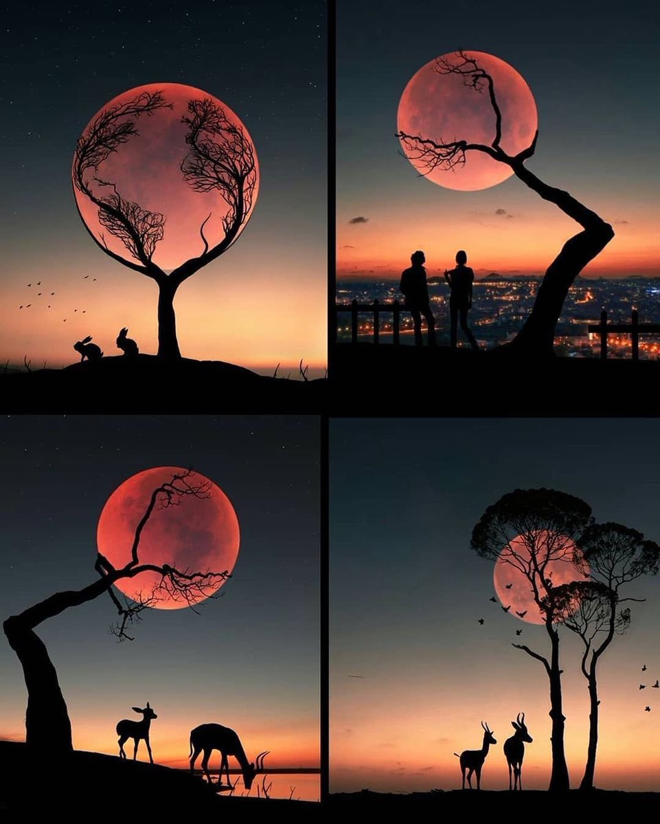 MOON (@moon4pics) on Twitter photo 