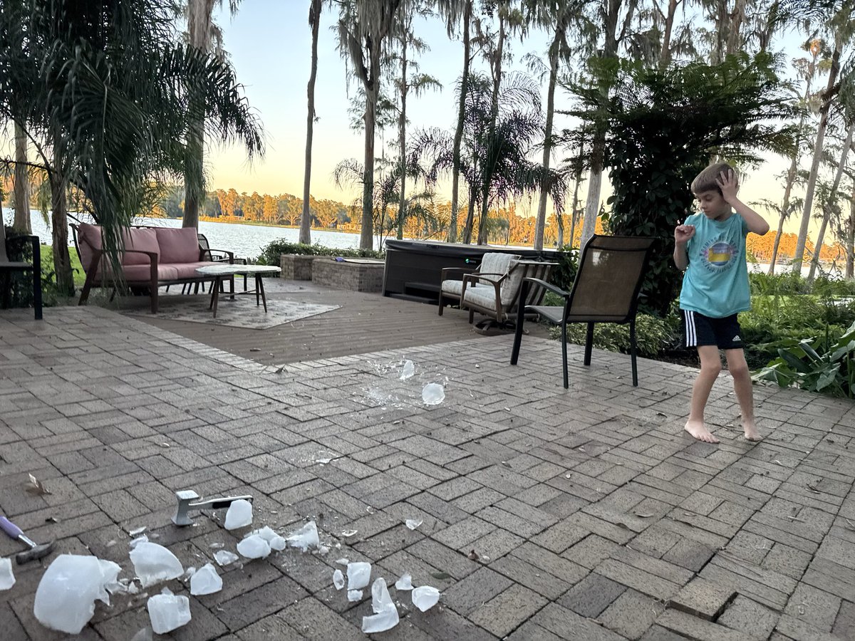 Gothalion tweet media