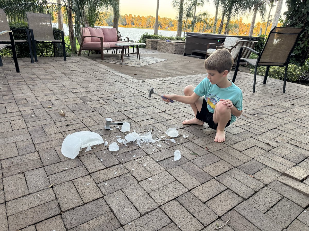 Gothalion tweet media