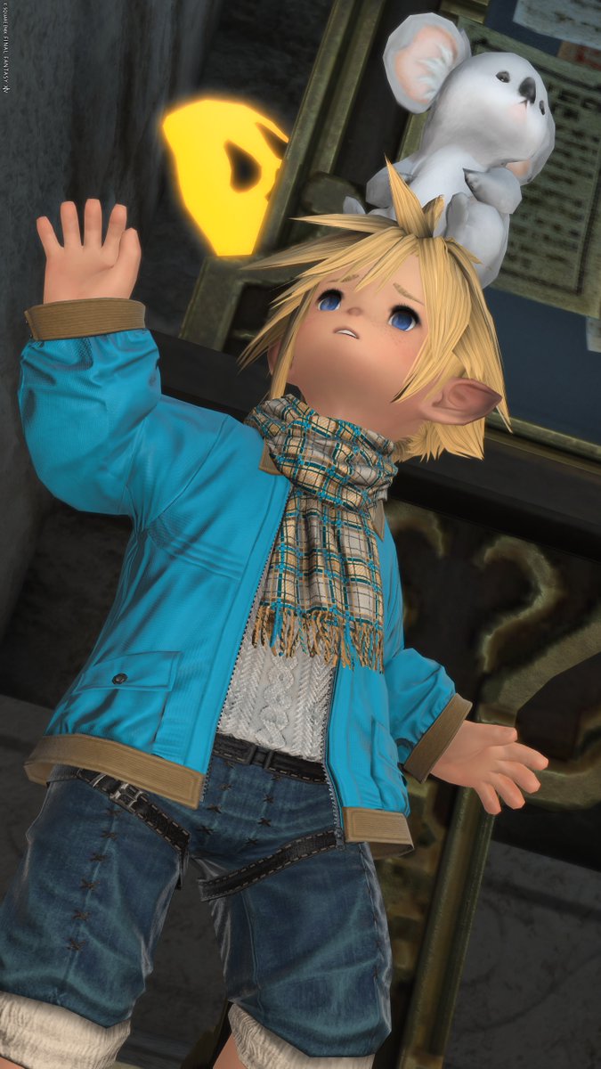 おはララです🐨
おわかりいただけただろうか
マケボの裏に・・・
#おはララ #ララフェル #FF14