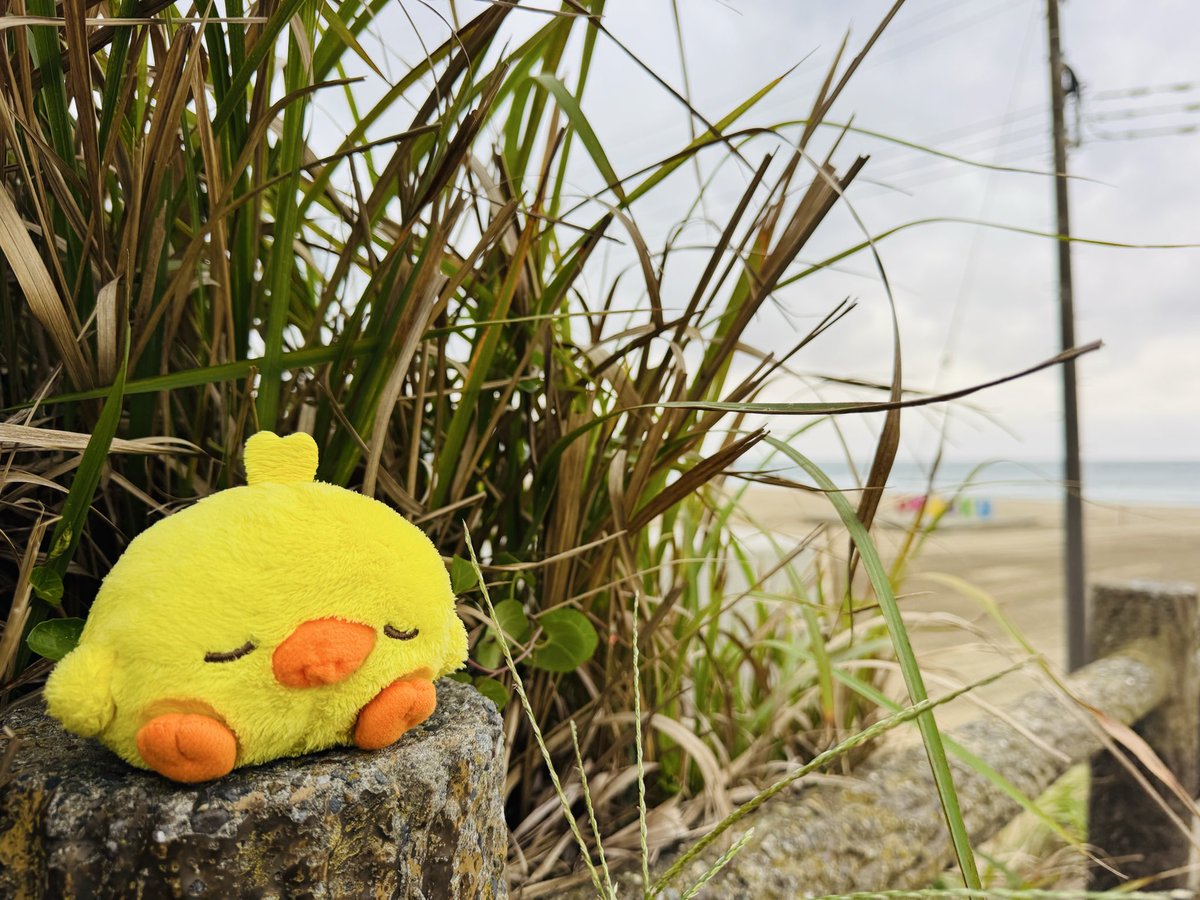 ズッキー(•ө•) (@zukkie0427) / Posts / X