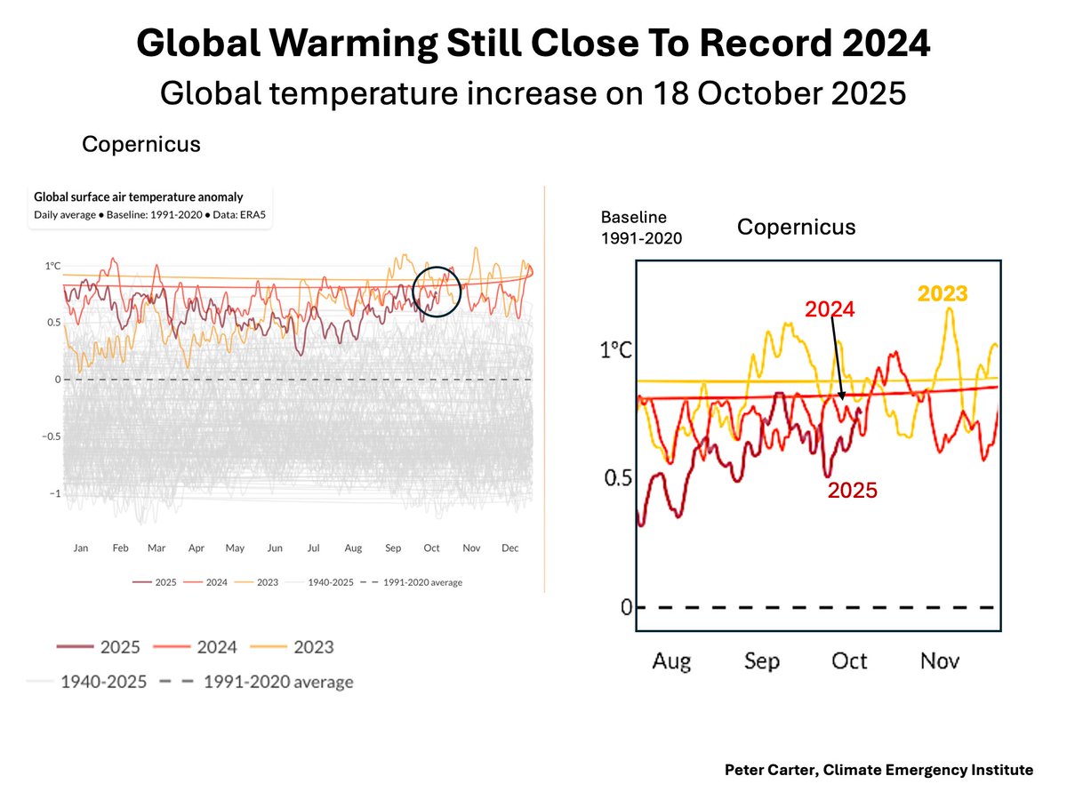 18 OCT. TEMPERATURE STILL CLOSE TO RECORD 2024
On October 18th 2025 global temperature increase went just above record 2024 again. Copernicus Pulse
#climatechange. #globalwarming