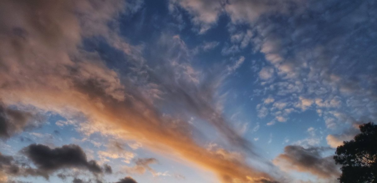 Sapo Man Photography 😃 tweet media