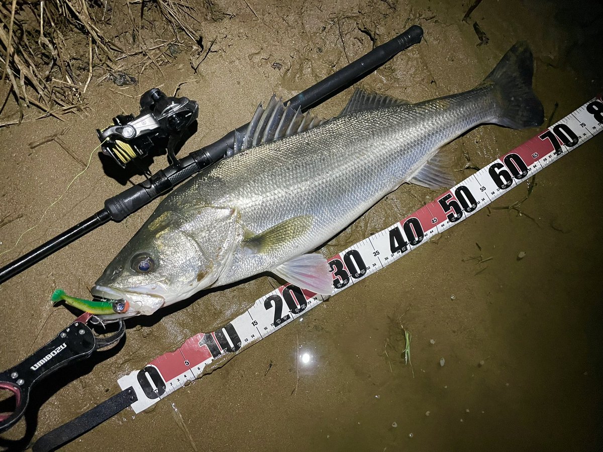 たくわんのフィッシングライフ on X