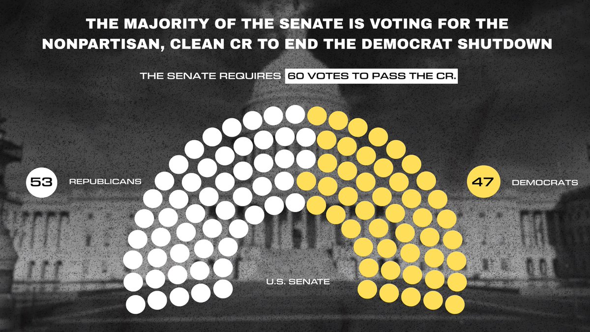 Democrats have now voted 12 times to SHUT DOWN the government - preventing paychecks from going to our troops, vets, and air traffic controllers and stopping services to women, infants, and children.

Chuck Schumer and Senate Democrats can make this shutdown end IMMEDIATELY if