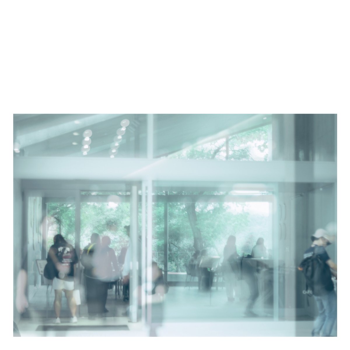 直島新美術館

#gallery_no8