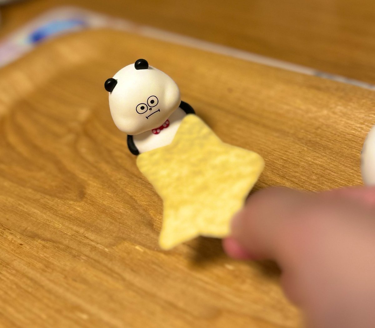 ぽてちページ 説明文の見方 | ポテチ博物館