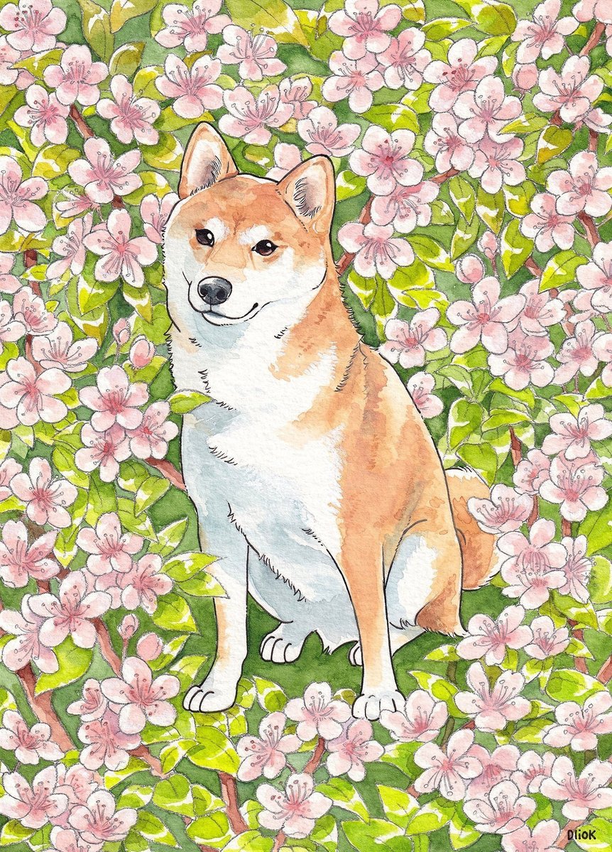 Dliok's tweet photo. C0mms are open on VGen! 
Pet portraits and characters  
🌸8 slots 
Rt's are highly appreciated! 💕 
https://t.co/uz0y65v3JP

#VGenComm https://t.co/gudWu2ilpH