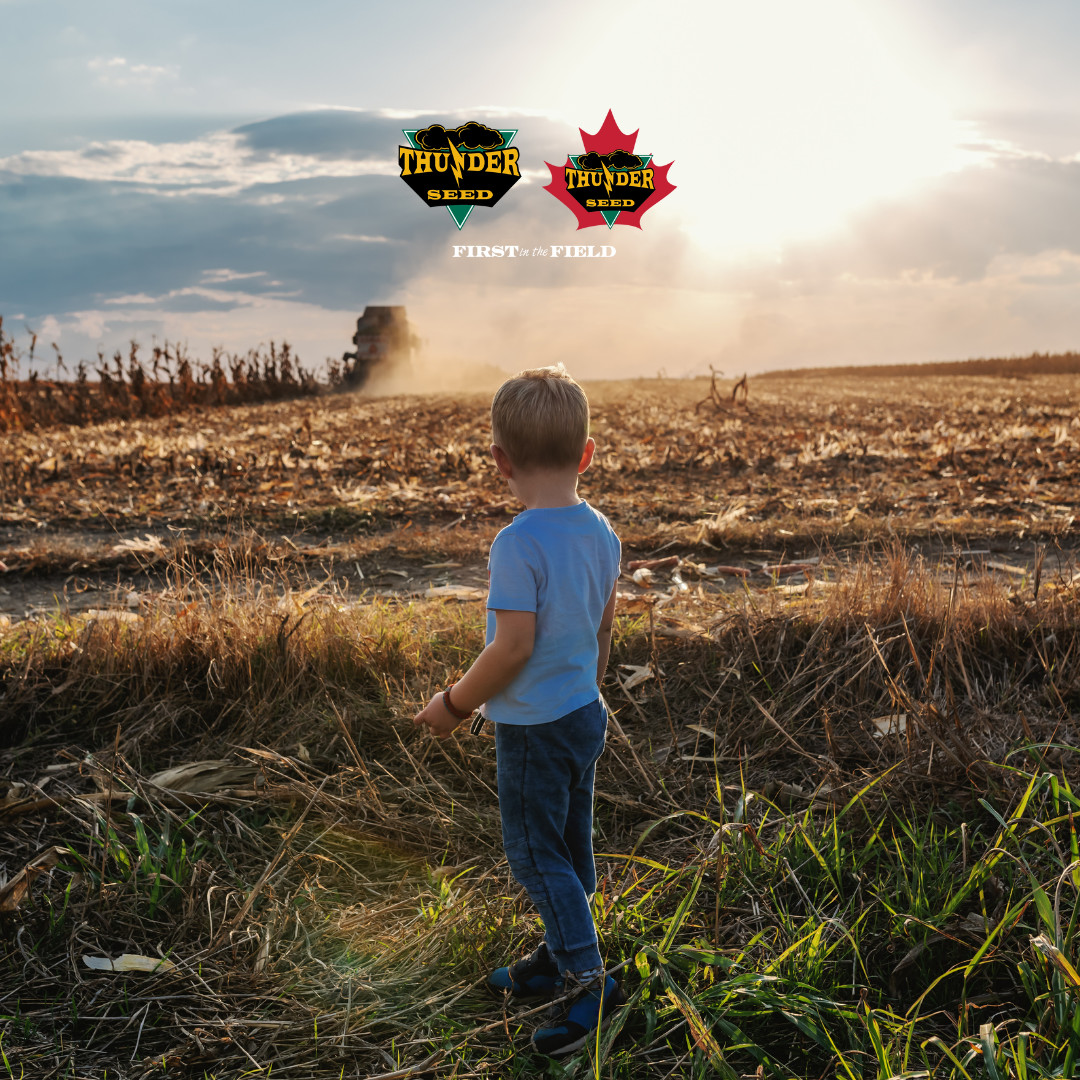 From our family farms to yours, thank you for letting Thunder Seed be part of your season.🌾

#ThunderSeed #FarmStrong #Harvest2025 #MidwestFarming #CanadianFarming #AgCommunity
