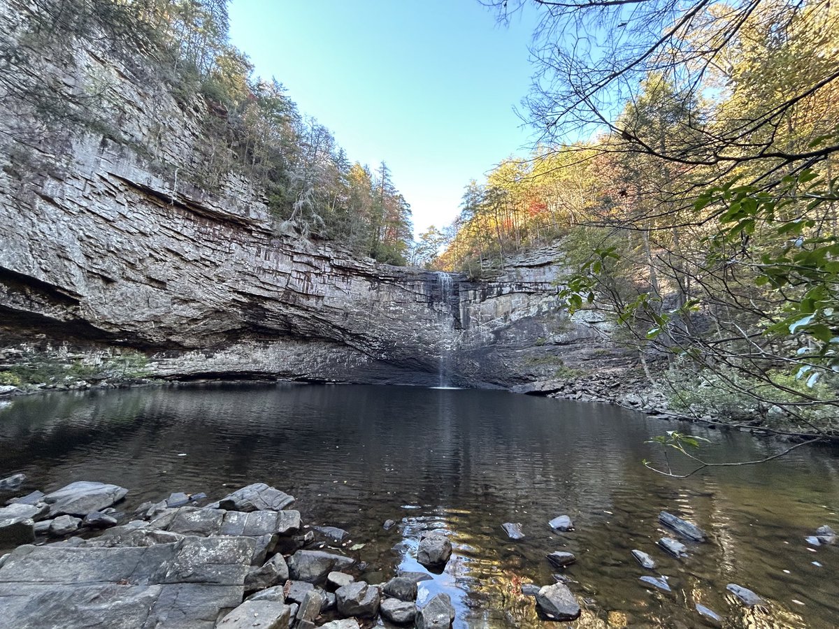 TNEnvironment tweet media