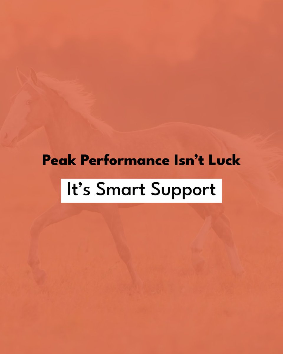 horseprerace's tweet image. 💪 Peak performance doesn’t happen by chance — it’s built with smart care and the right support every day. 🌟 Give your horse the nutrients and protection they need to stay strong, focused, and ready to win. 🏇✨

#HorsePreRace #EquinePerformance #SmartSupport #HorseHealth