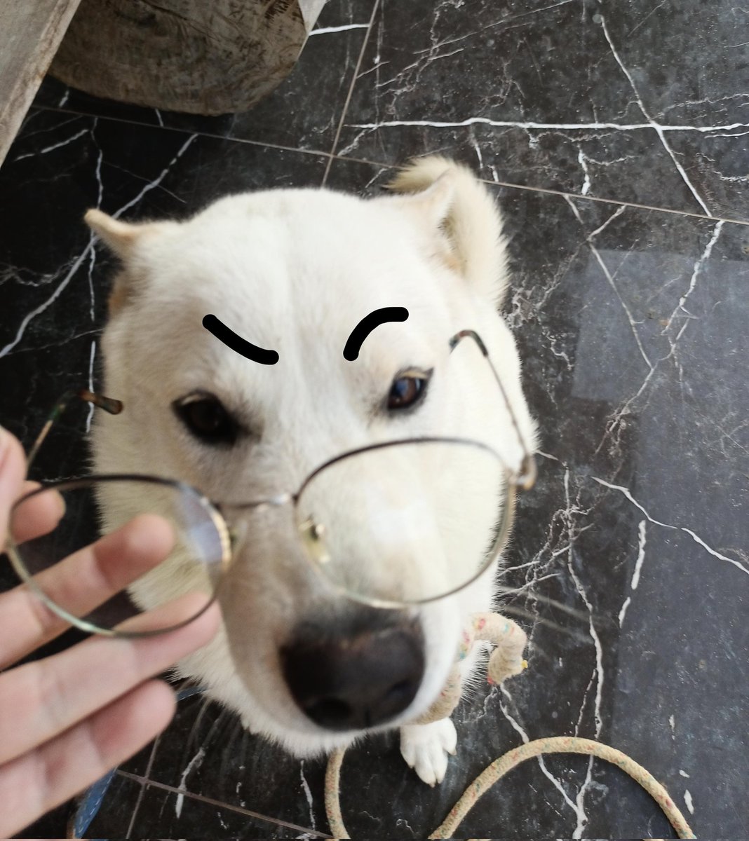 imhttaee's tweet image. agora tá prestando ☝️ 
fico devendo vossas atts