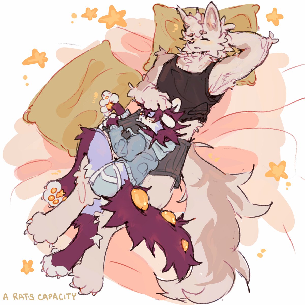 the most comfortable spot on the bed