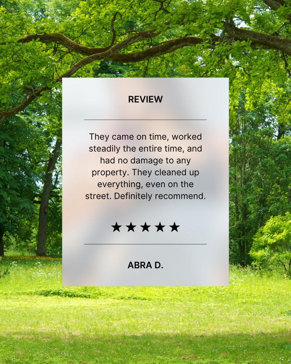 TrufastTree's tweet image. THANK YOU! ⭐

#springfieldtreeservice #springfieldmo