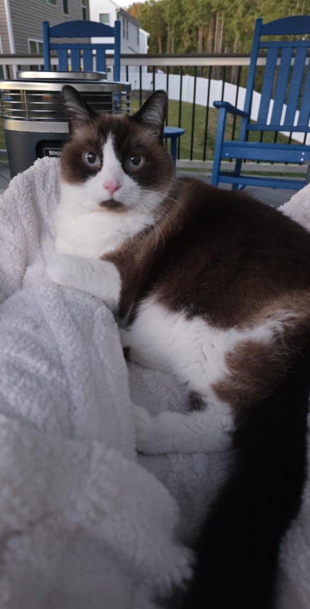 Sir Can Pirate tweet media