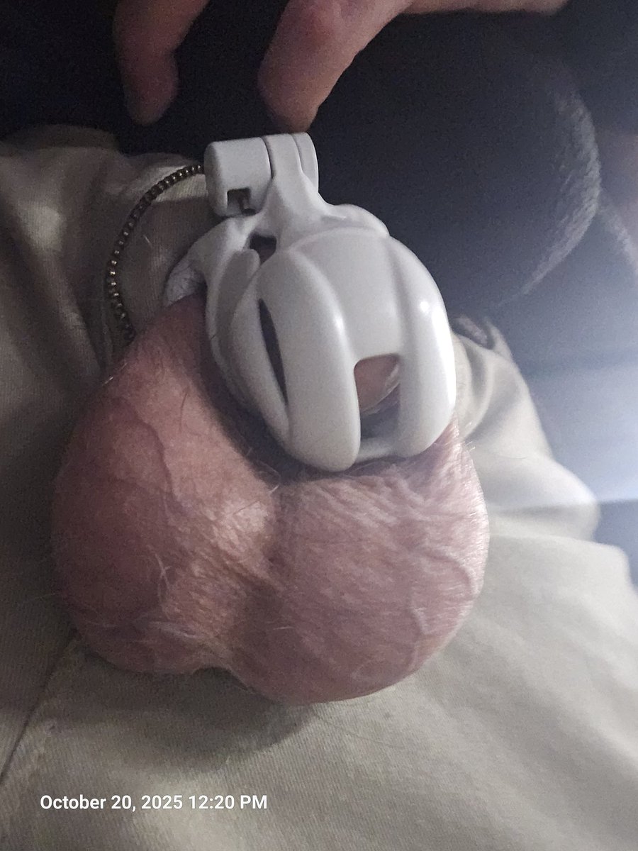 Day 20 of #Locktober.  Only 11 days left! Whos going through #NoNutNovember? #DenyDecember? Let me know in the comments. #subboy #gaychastity #cagedboy #gaysub #lockedboy #teamlocked
<a href="/GayChastityRTs/">Gay Chastity Retweets - 69K</a> <a href="/KINK3Ddesigns/">KINK3D</a> <a href="/ChastityVillage/">Chastity Village (17.3k)</a> <a href="/MCCageRT1/">MaleChastityCageRT - 10K</a> @cagedlegion bsky.app/profile/locked…
