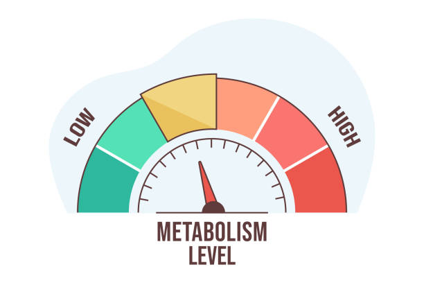 You don’t “boost metabolism” by starving

You do it by sending your body the message:
“I’m safe”

Sleep deeply, eat protein, manage stress.
That’s the real metabolic flex #metabolism