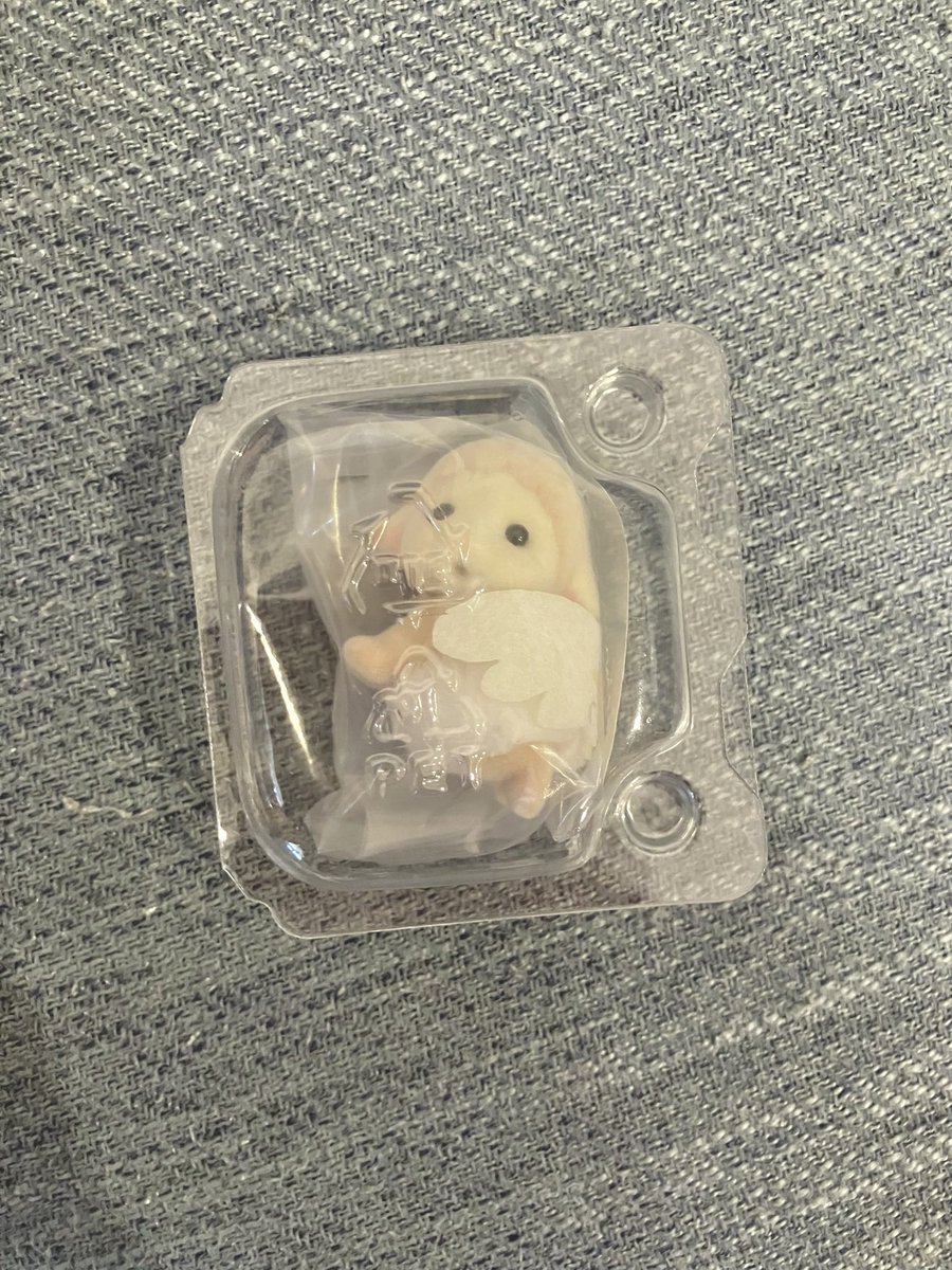 詩緒@D垢 tweet media