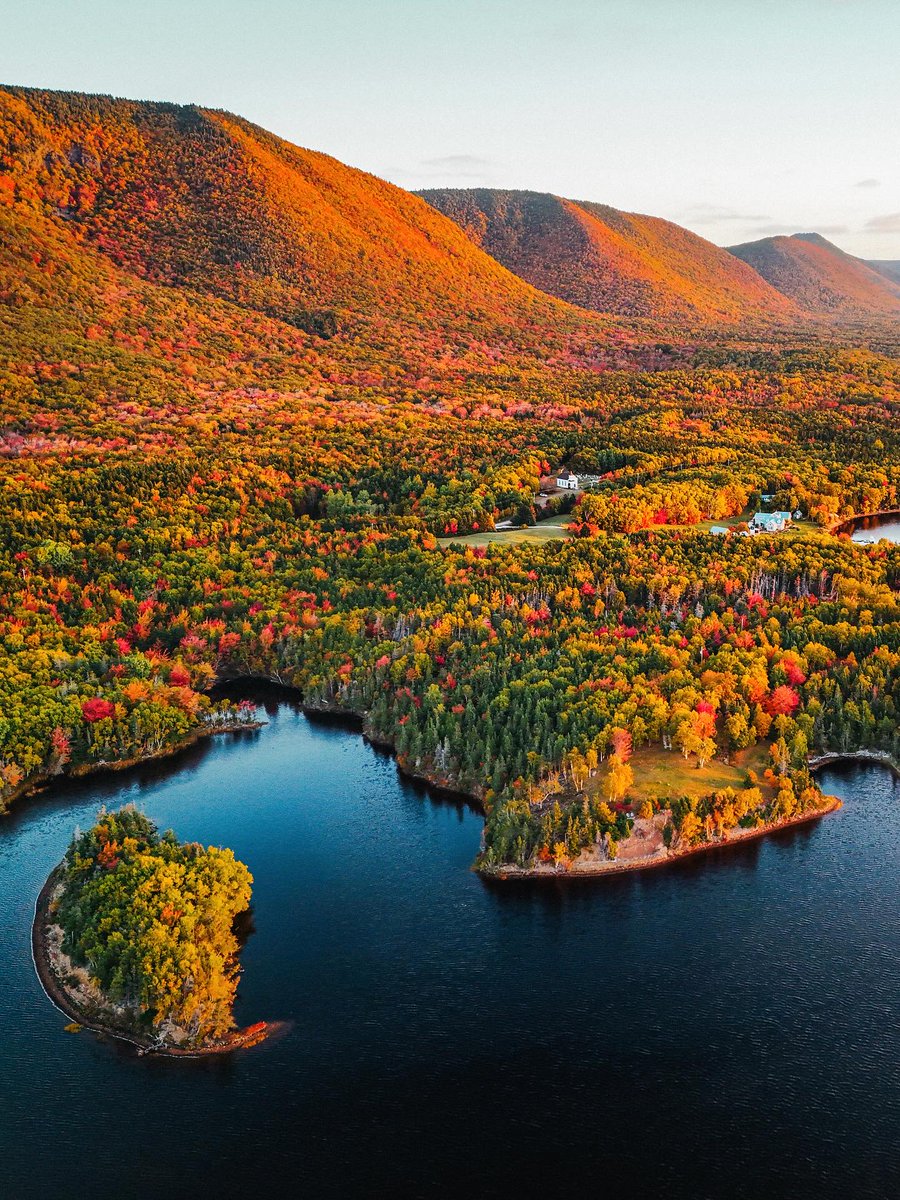 Dave Langille tweet media