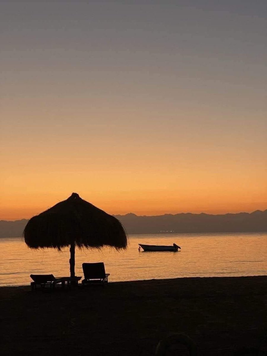 🤍𝒩𝒜𝒯𝒜ℒℐ tweet media