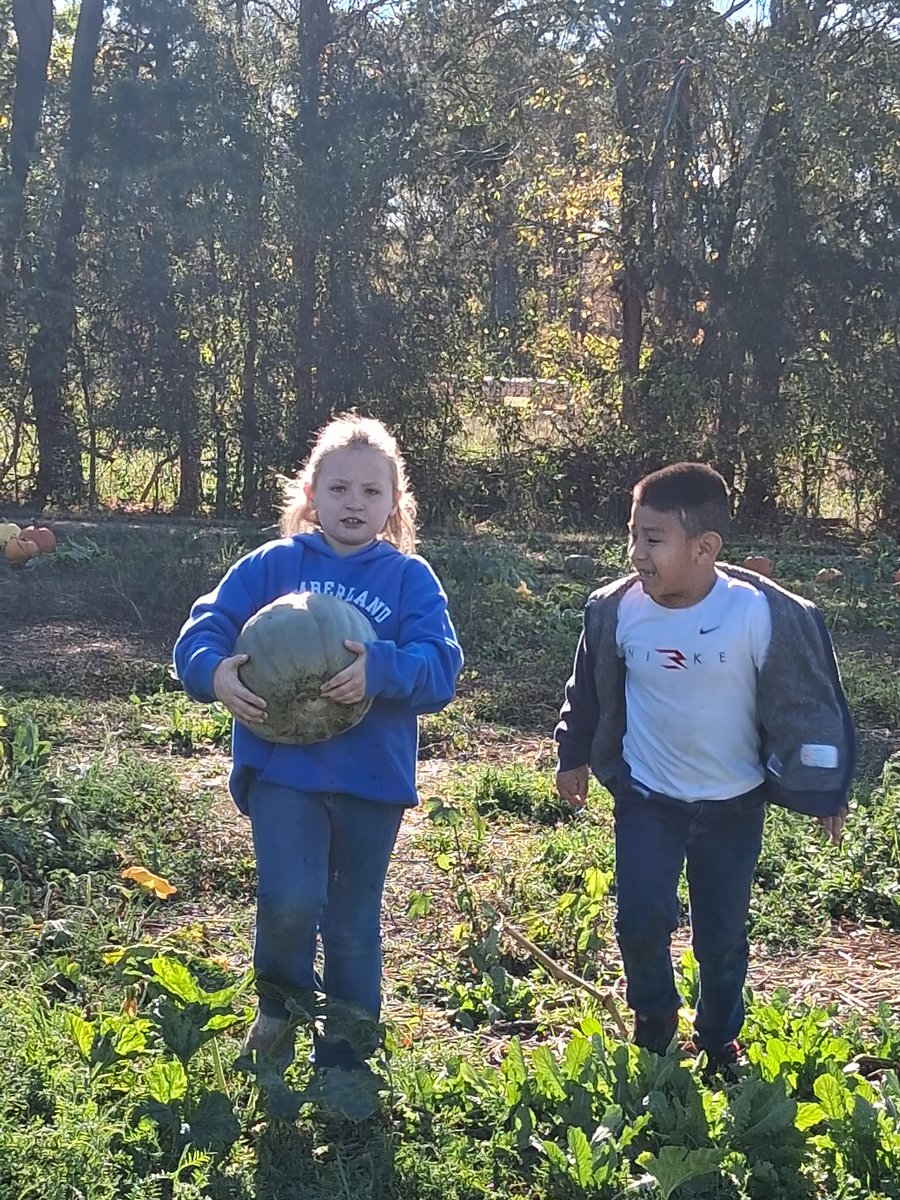 computeramy143's tweet photo. Pumpkin Farm fun #1stGrade #fieldtrip #WeAreCuCPS #ccesdukes #LittleDukes https://t.co/bTGN63nAEB