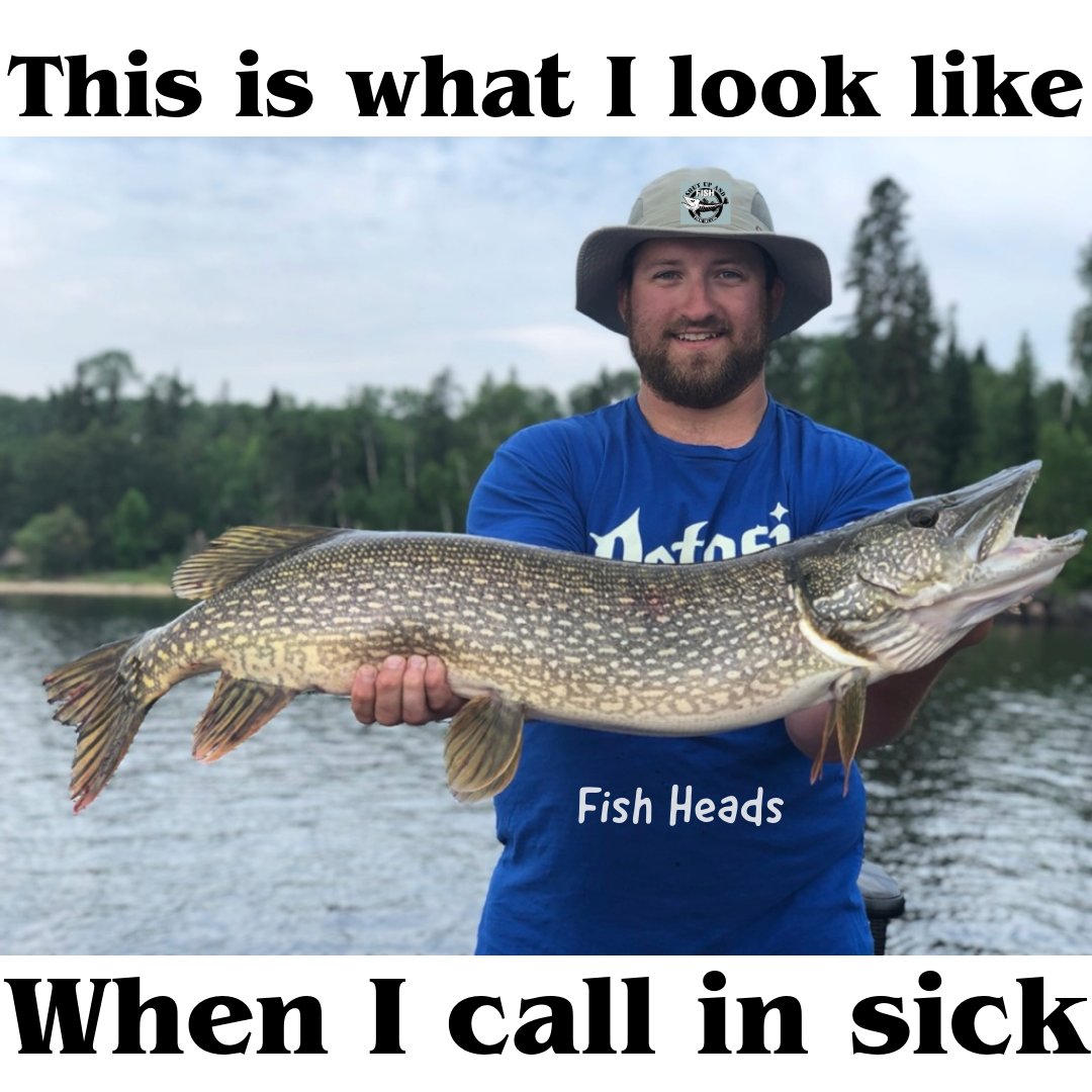 Fish Heads tweet media