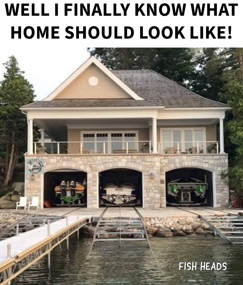 Fish Heads tweet media