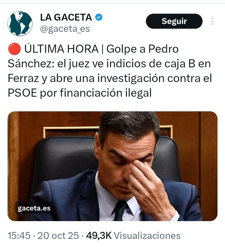 El juez Peinado porque tarda tanto en detener al PSOE en pleno.