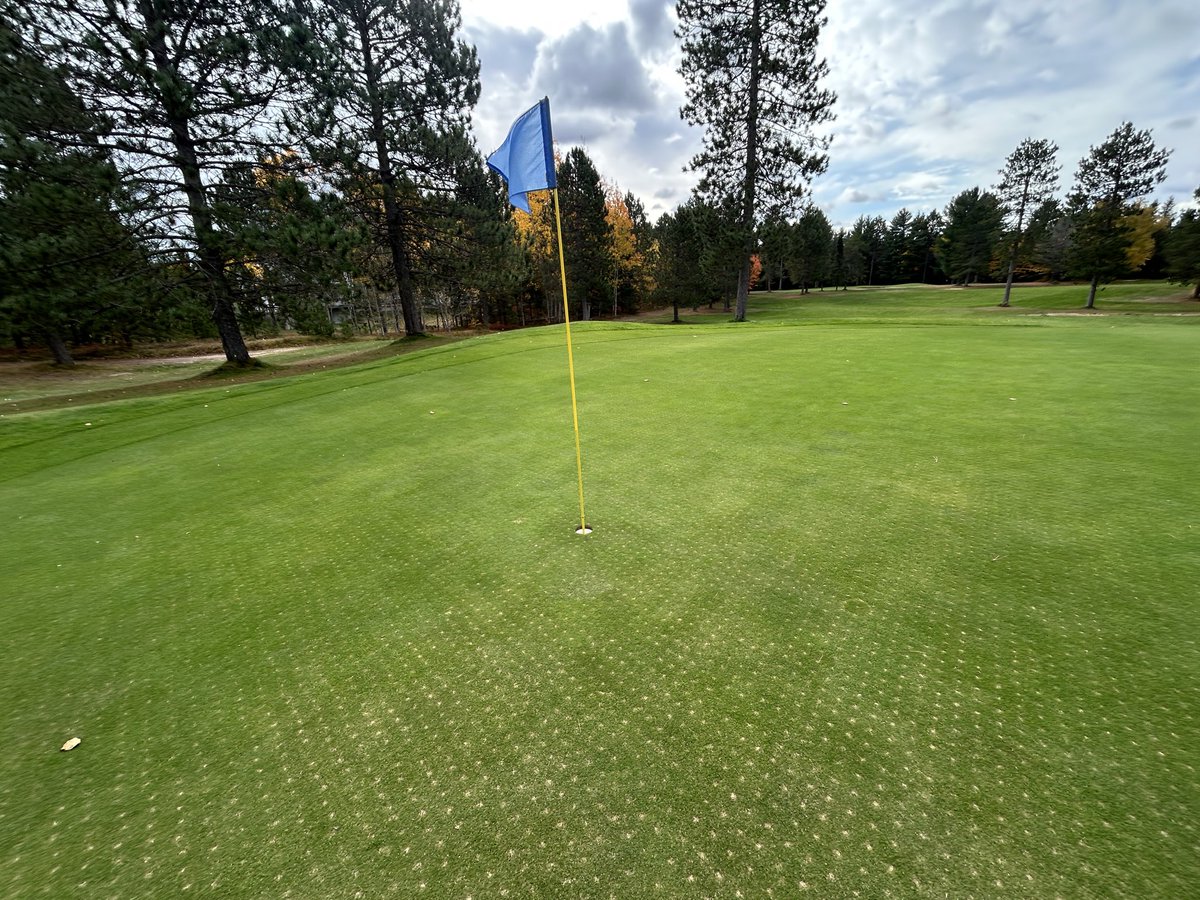 ChocolayDowns's tweet image. 7 days after top dressing it’s looking good again. Inspector Ralph approves. #dogsofturf Closing day is 10/25 come get it while you can.