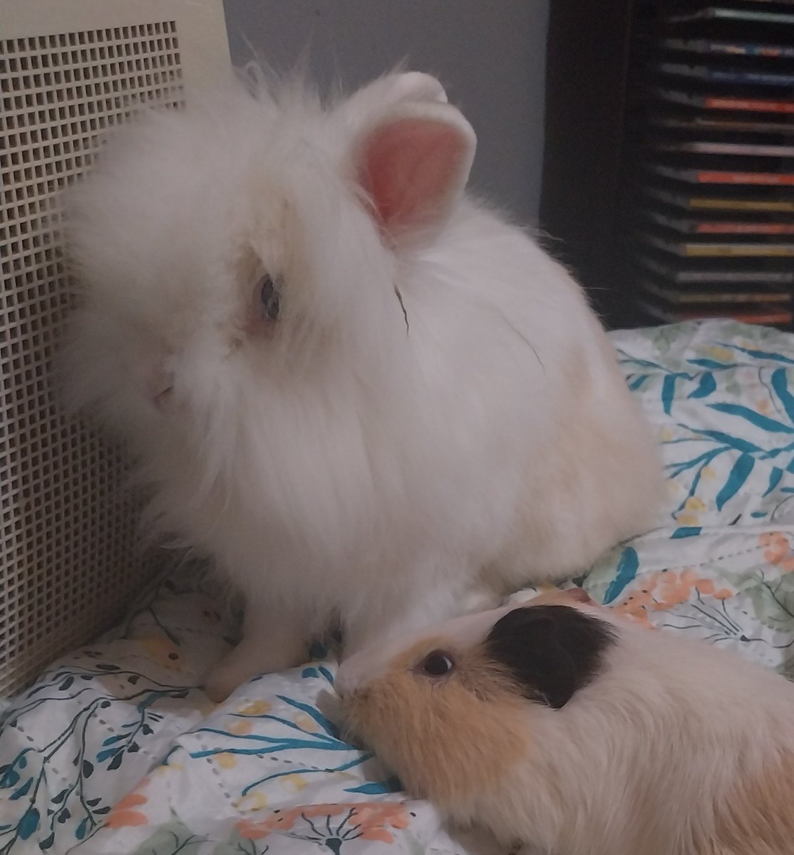 morbidwave's tweet image. 