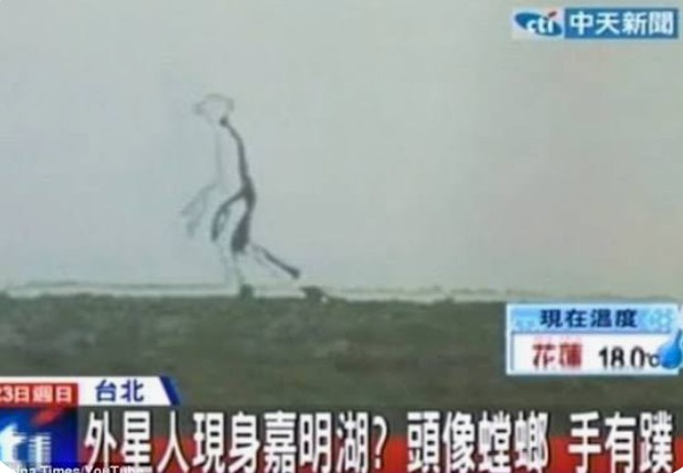 Dusty Bumps (@dusty_bumps) on Twitter photo 