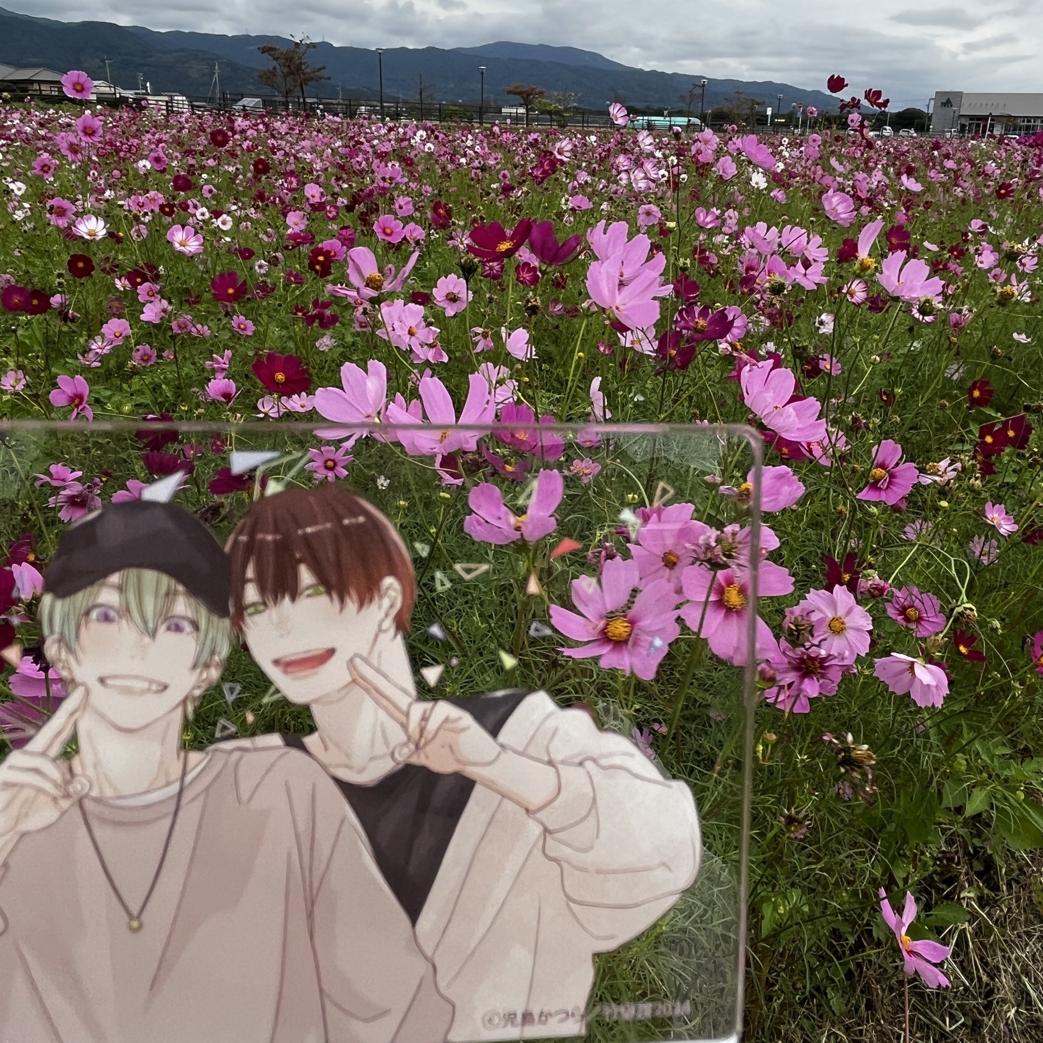 コミックニュース　コメント分 ショーハショーテン！ 2／小畑 健／浅倉 秋成 | 集英社コミック