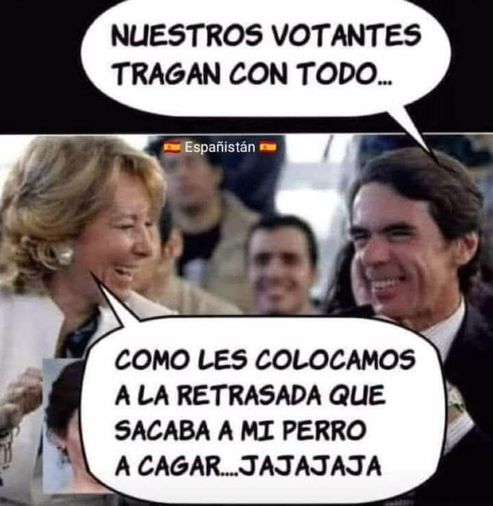 betigonzo1. tweet media