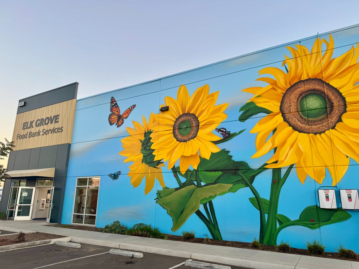 A stunning new mural is bringing color, hope, and community spirit to the Elk Grove Food Bank!

This beautiful piece not only transforms the building’s exterior but also shines a light on the incredible work happening inside to support families across Elk Grove.

Thank you to the