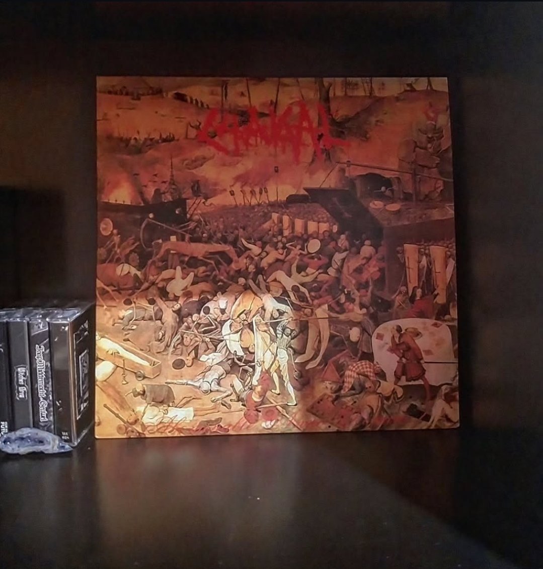 morbidwave's tweet image. Collection