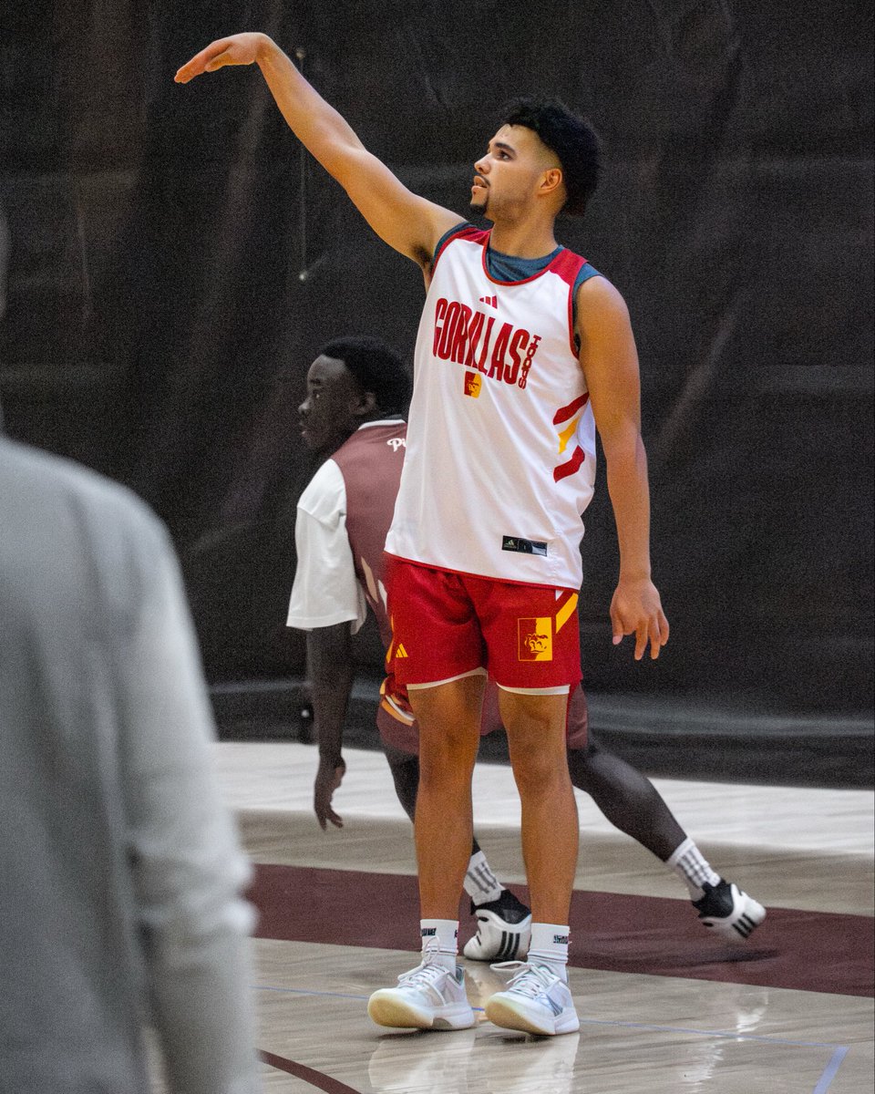 𝙸𝚗𝚝𝚎𝚛𝚗𝚎𝚝 may be 𝕕𝕠𝕨𝕟 but we still 𝒰𝒫 📈

#oagaag || #gorillanation
📸: <a href="/T_Conrad18_/">Titus Conrad</a>